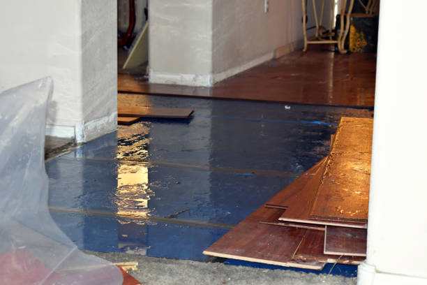 Professional Sewage Cleanup technician working in Stoughton, MA